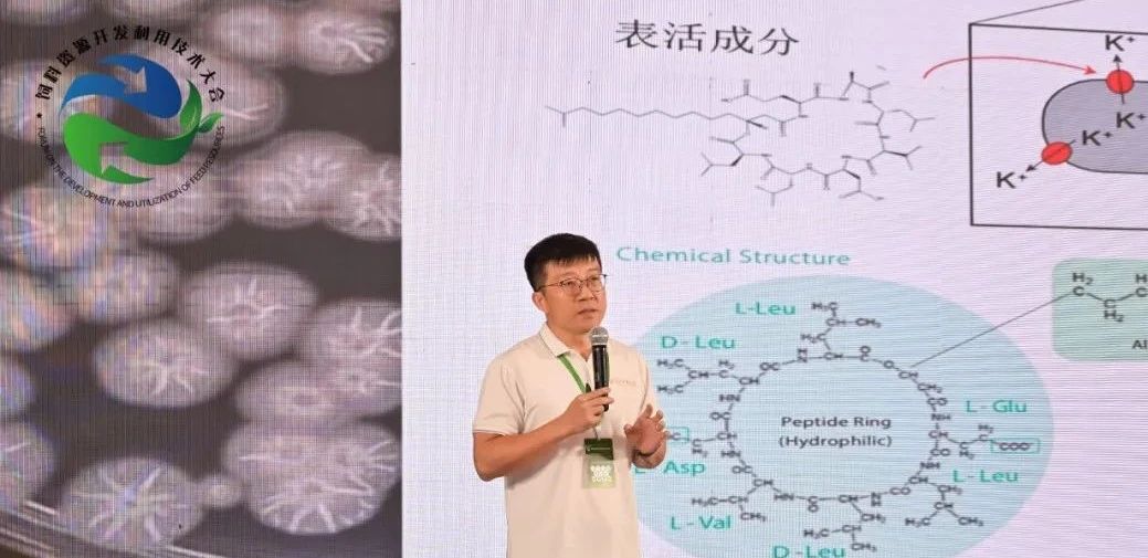e362f5eae045e1ebea97993b61fe4e36_17458212971581556.jpg