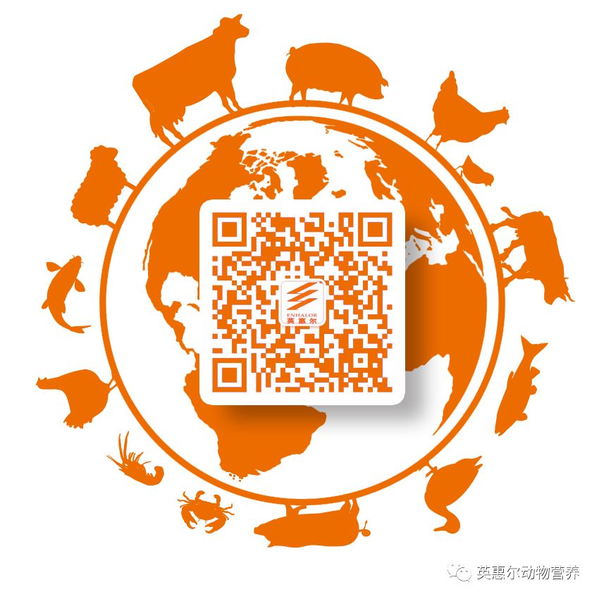 235364663b6c334f9c9ed335d4451d71_17471239265724775.jpg